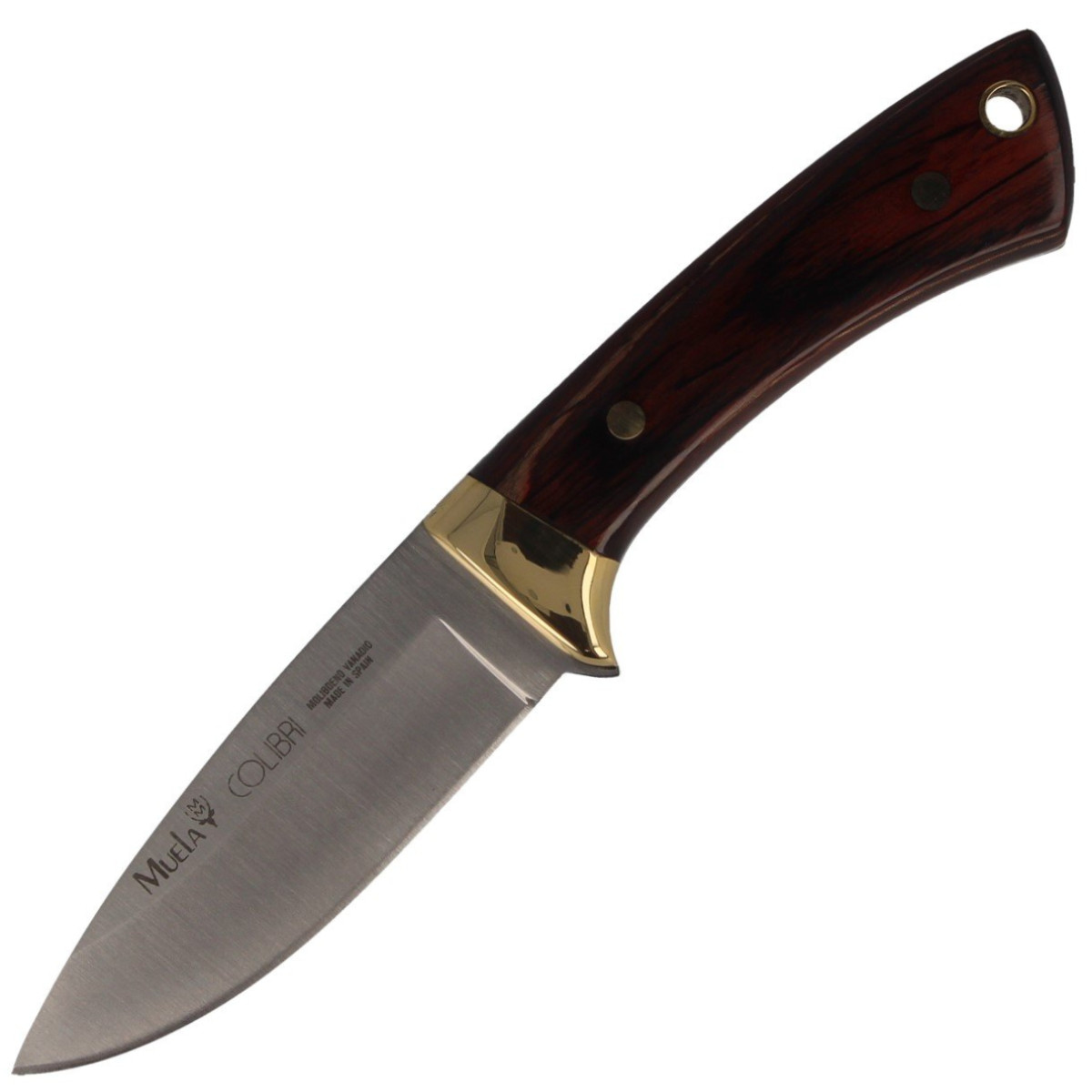 Muela-Colibri-Knife-Pakkawood-Satin-X50CrMoV15-COL-7M