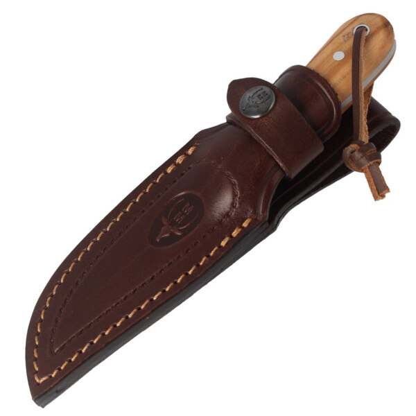 Muela-Bison-9-OL-Olive-Wood-Knife-Satin