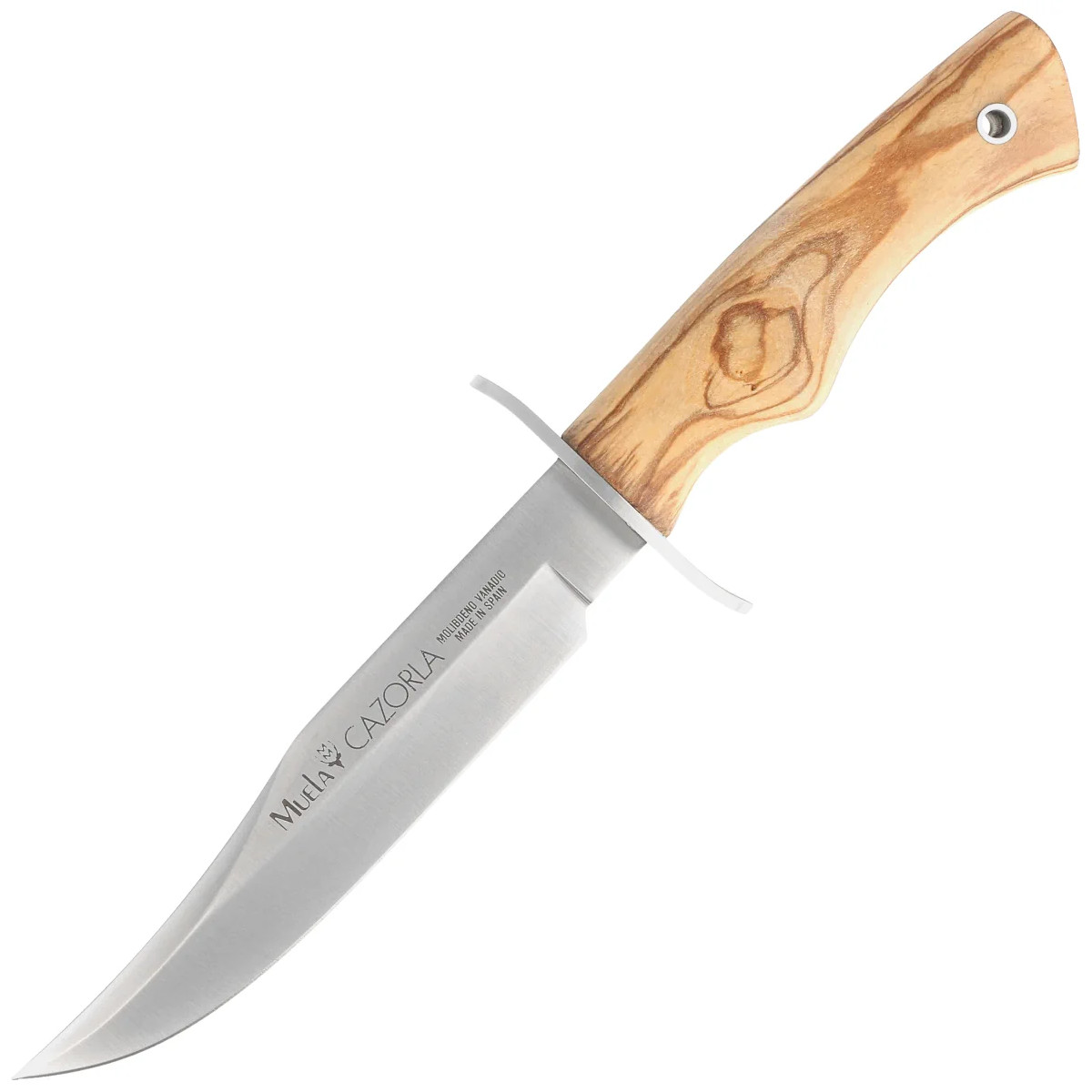 Muela-CAZ-16-OL-Olive-Wood-Satin-X50CrMoV15-Knife
