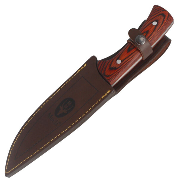 Muela-Jabali-17E-Coral-Pakkawood-Knife-Satin-X50CrMoV15