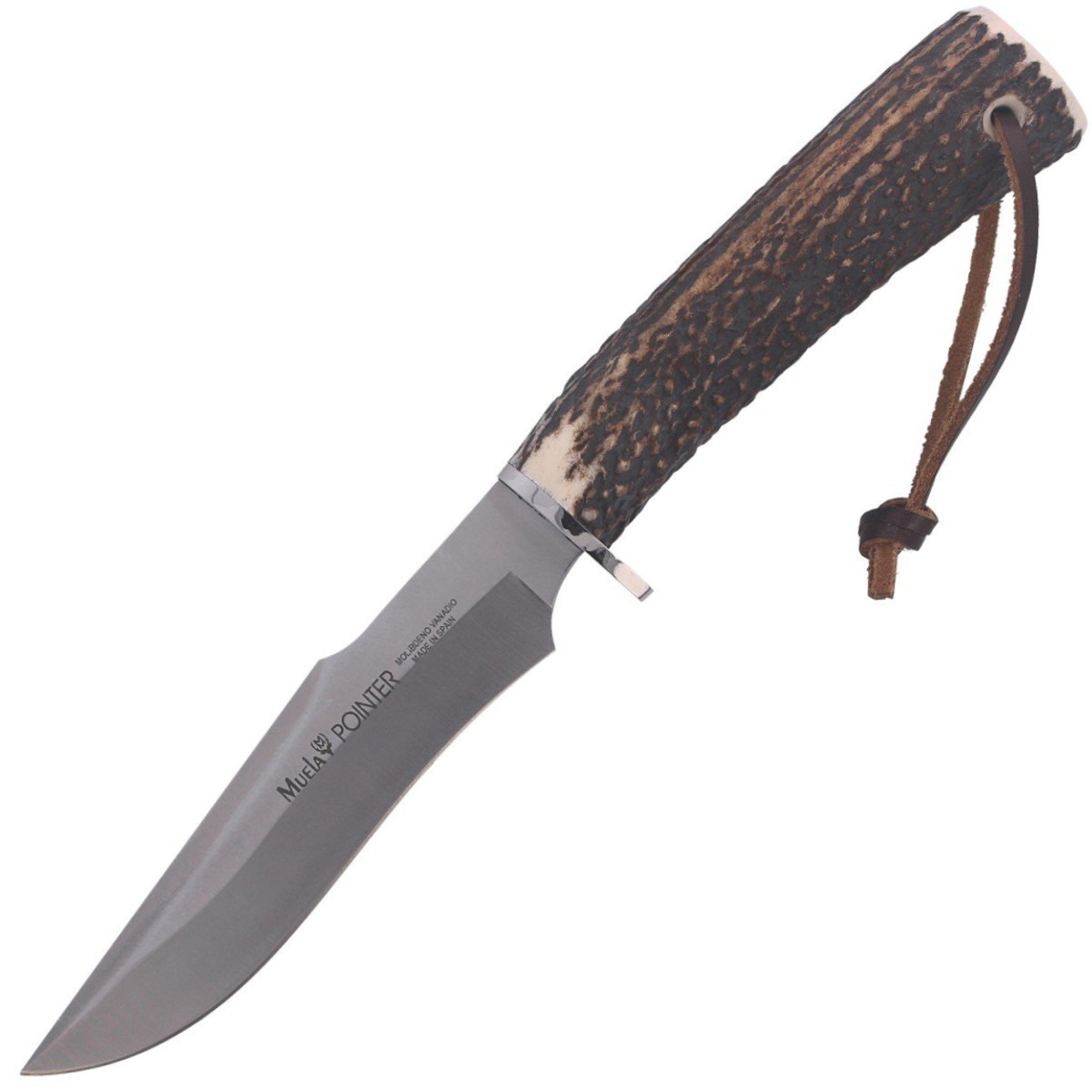 Muela-Deer-Stag-Satin-X50CrMoV15-POINTER-13A